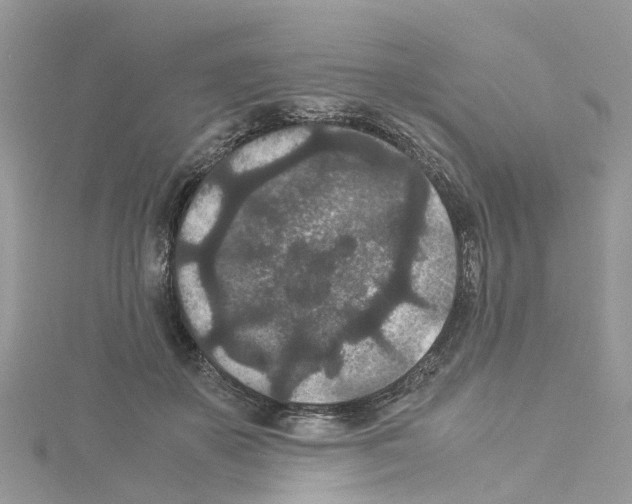 X0000114090507200911161040