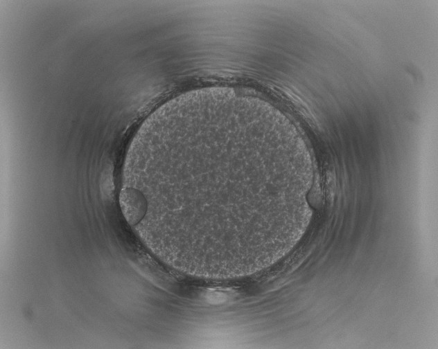 X0000114090508200911161040