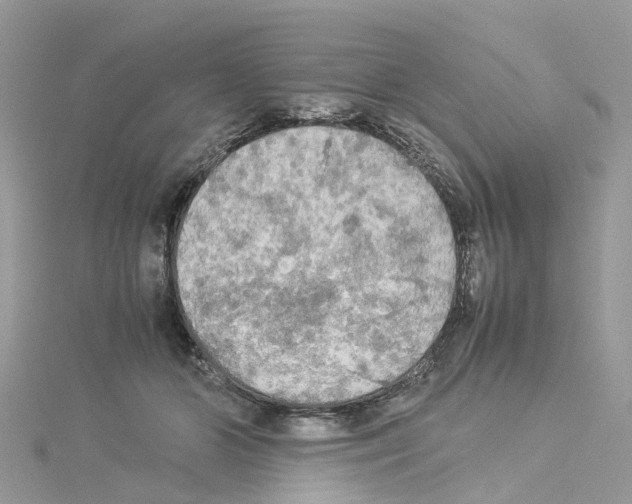 X0000114090510200911161040