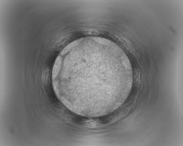 X0000114090511200911161040