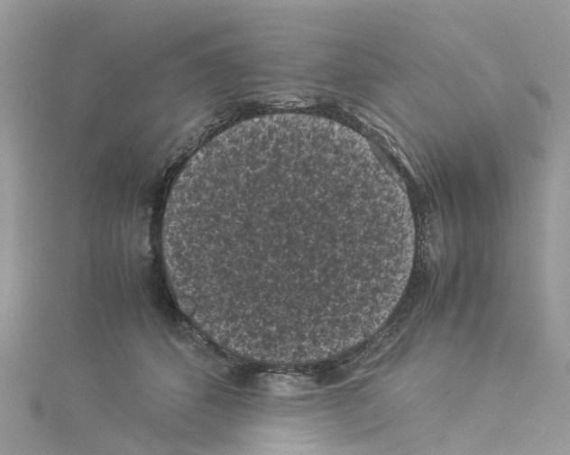 X0000114090512200911161040