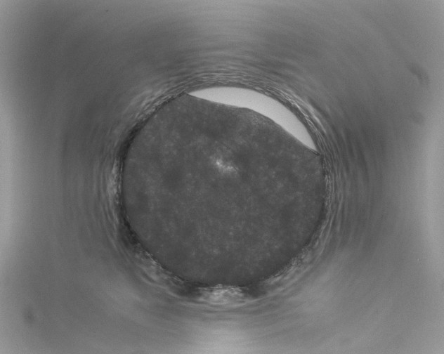 X0000114090517200911161040