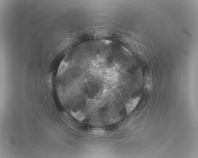 X0000114090519200911161040