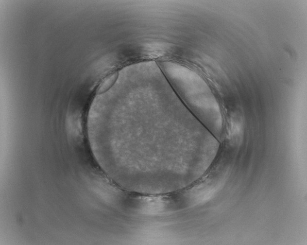 X0000114090524200911161040