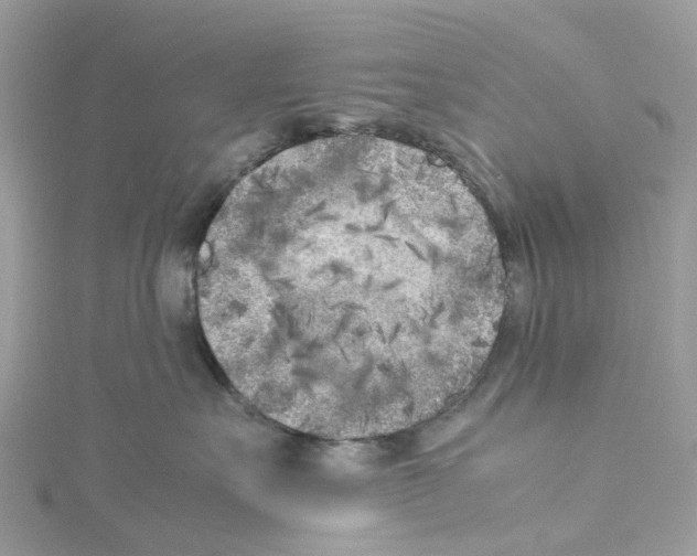 X0000114090527200911161039