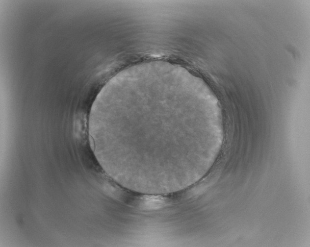 X0000114090528200911161039