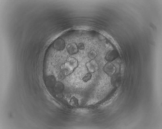 X0000114090529200911161039