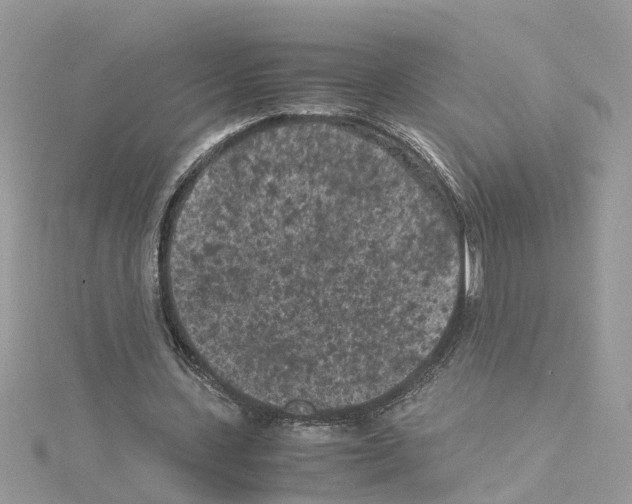 X0000114090531200911161039