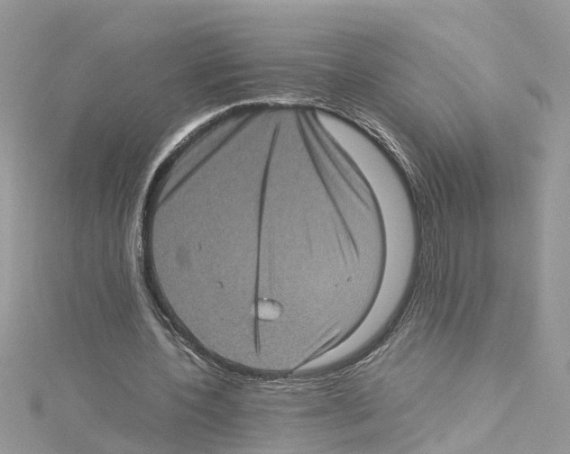 X0000114090532200911161039