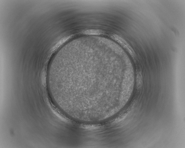 X0000114090533200911161039