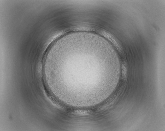 X0000114090534200911161039