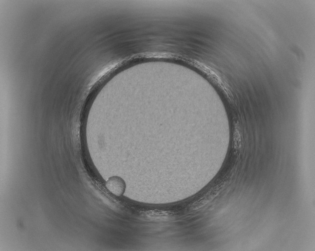 X0000114090535200911161039