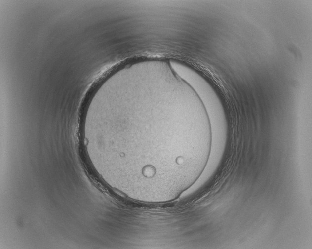 X0000114090540200911161039