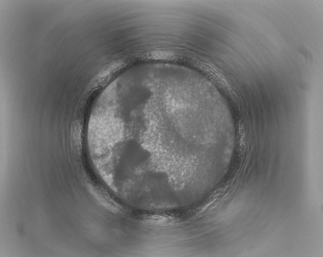 X0000114090542200911161039