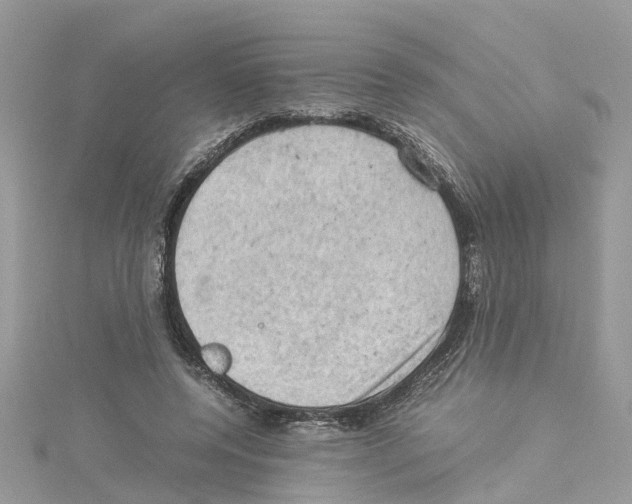 X0000114090544200911161039