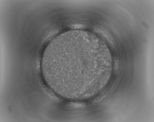 X0000114090545200911161039