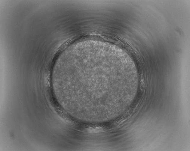 X0000114090547200911161039