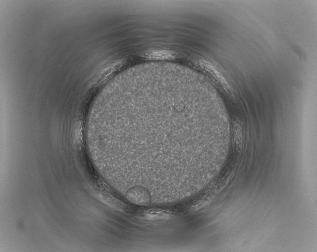 X0000114090549200911161039