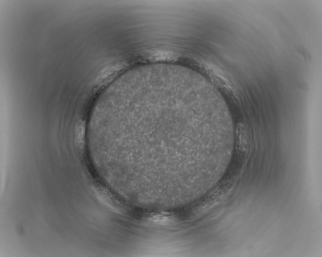 X0000114090550200911161039