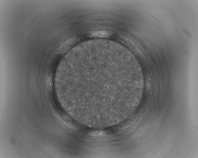 X0000114090551200911161039