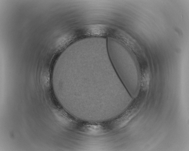 X0000114090552200911161039