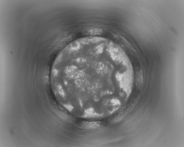 X0000114090553200911161039