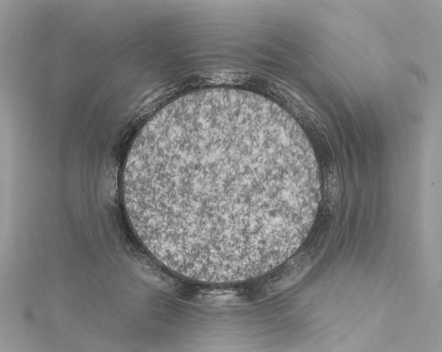 X0000114090554200911161039