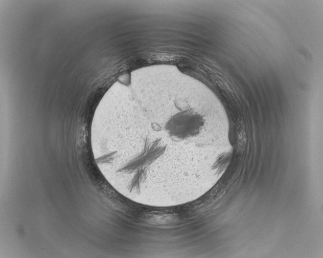 X0000114090555200911161039