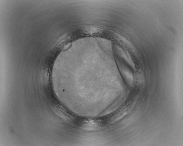 X0000114090558200911161039