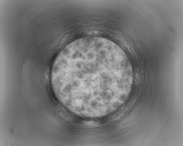 X0000114090561200911161039