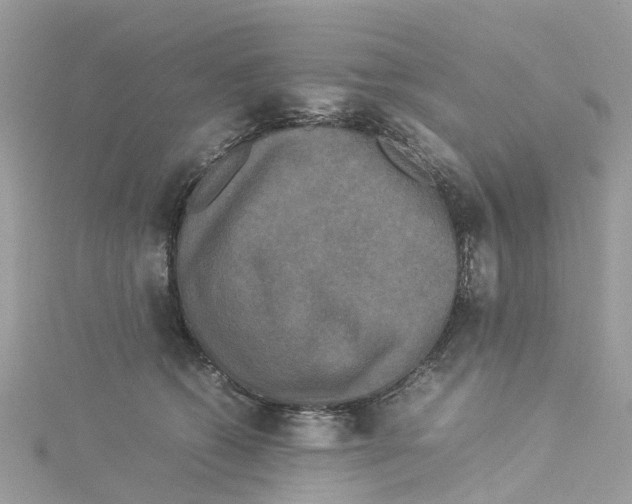 X0000114090562200911161039