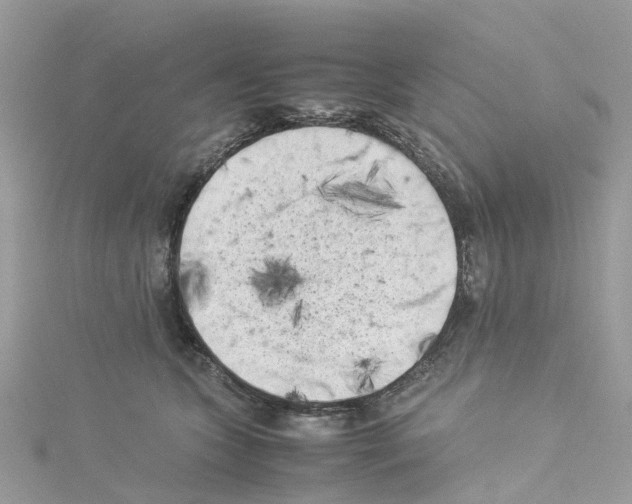 X0000114090563200911161039