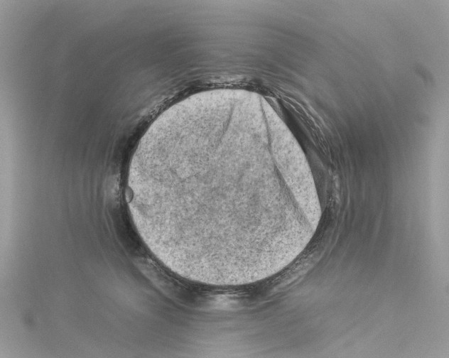 X0000114090564200911161039