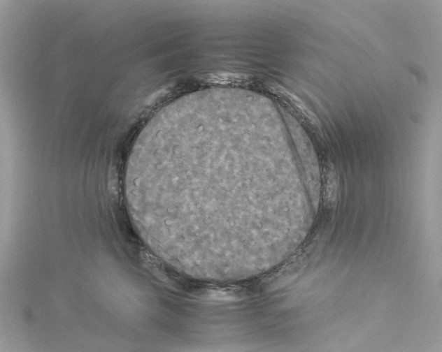 X0000114090569200911161039