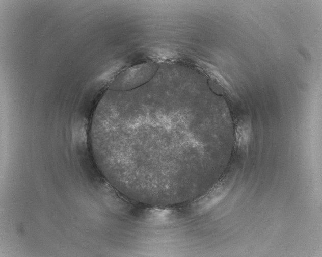 X0000114090570200911161039