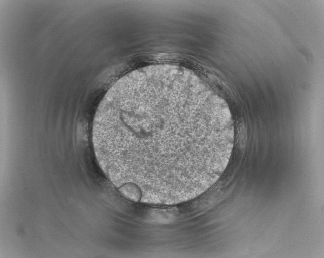 X0000114090571200911161039