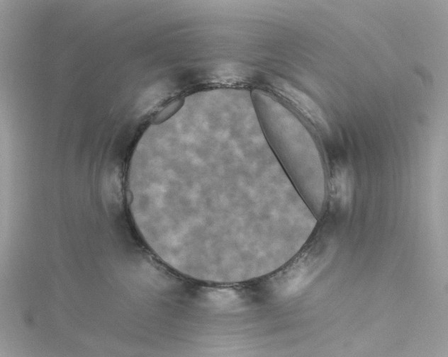 X0000114090572200911161039