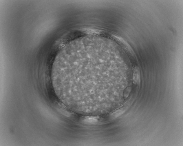 X0000114090573200911161039