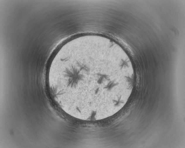 X0000114090580200911161039