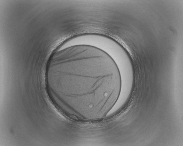 X0000114090581200911161039