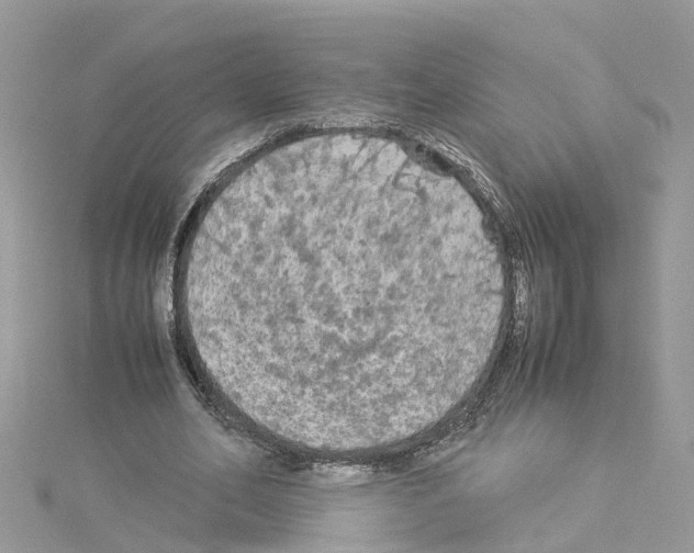 X0000114090582200911161039