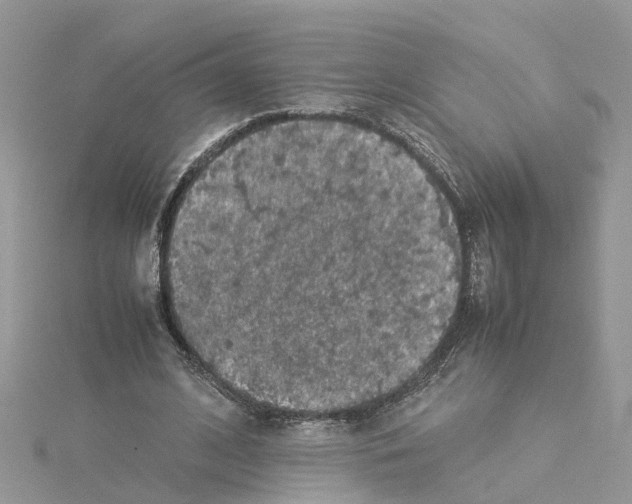 X0000114090584200911161039