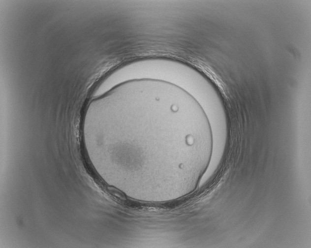 X0000114090585200911161039