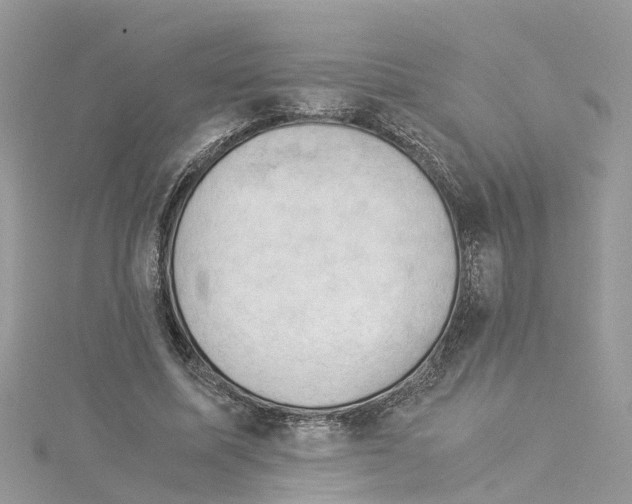 X0000114090587200911161039