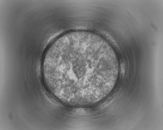 X0000114090588200911161039