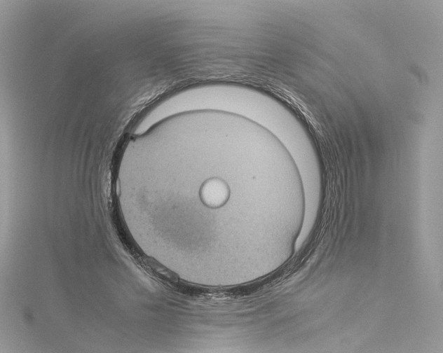 X0000114090589200911161039