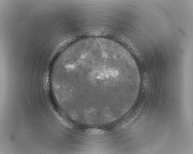 X0000114090590200911161039