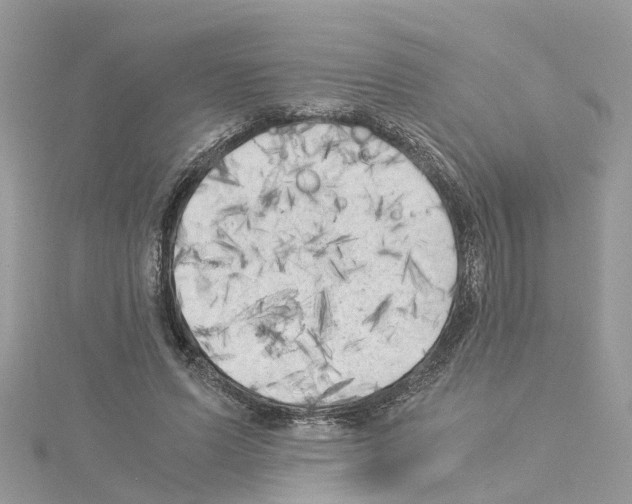 X0000114090591200911161039