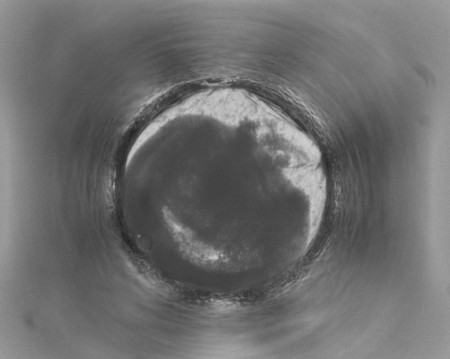 X0000114090592200911161039