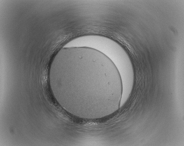 X0000114090593200911161039